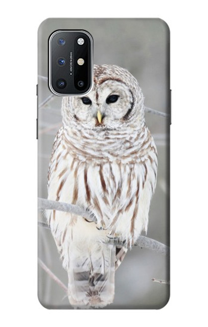 W1566 Snowy Owl White Owl Hard Case and Leather Flip Case For OnePlus 8T