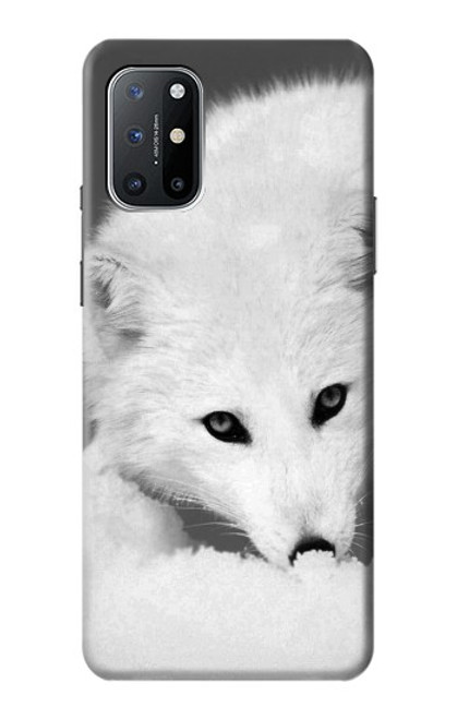 W2569 White Arctic Fox Hard Case and Leather Flip Case For OnePlus 8T