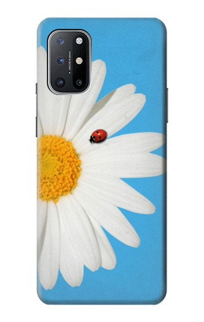 W3043 Vintage Daisy Lady Bug Hard Case and Leather Flip Case For OnePlus 8T