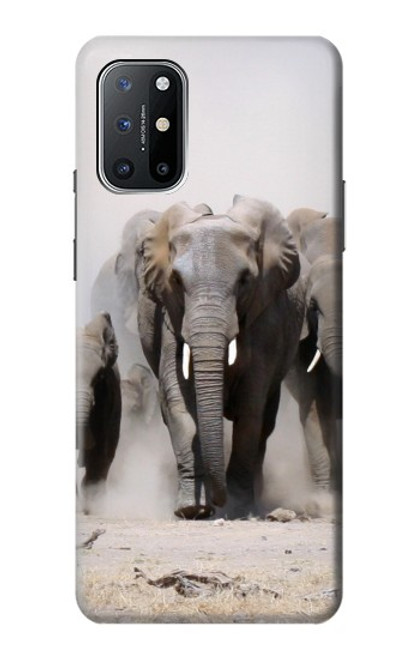 W3142 African Elephant Hard Case and Leather Flip Case For OnePlus 8T