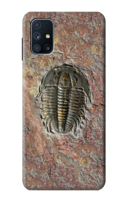 W1454 Trilobite Fossil Hard Case and Leather Flip Case For Samsung Galaxy M51