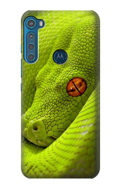 W0785 Green Snake Hard Case and Leather Flip Case For Motorola One Fusion+