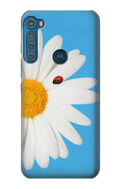 W3043 Vintage Daisy Lady Bug Hard Case and Leather Flip Case For Motorola One Fusion+