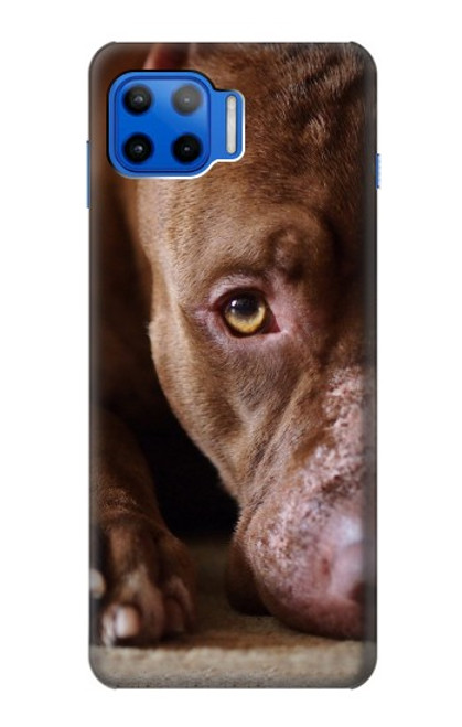 W0519 PitBull Face Hard Case and Leather Flip Case For Motorola Moto G 5G Plus