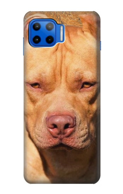 W2903 American Pitbull Dog Hard Case and Leather Flip Case For Motorola Moto G 5G Plus