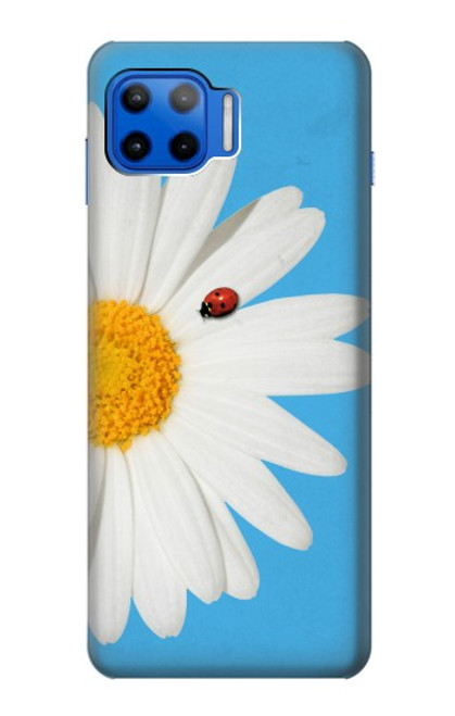 W3043 Vintage Daisy Lady Bug Hard Case and Leather Flip Case For Motorola Moto G 5G Plus