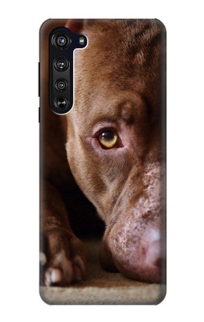 W0519 PitBull Face Hard Case and Leather Flip Case For Motorola Edge