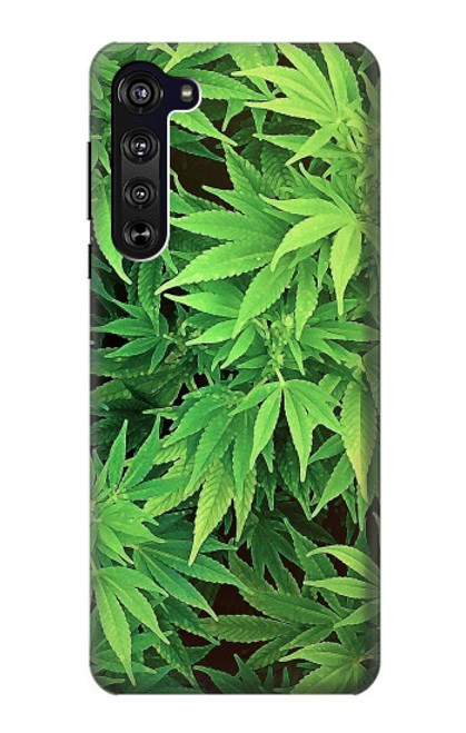 W1656 Marijuana Plant Hard Case and Leather Flip Case For Motorola Edge