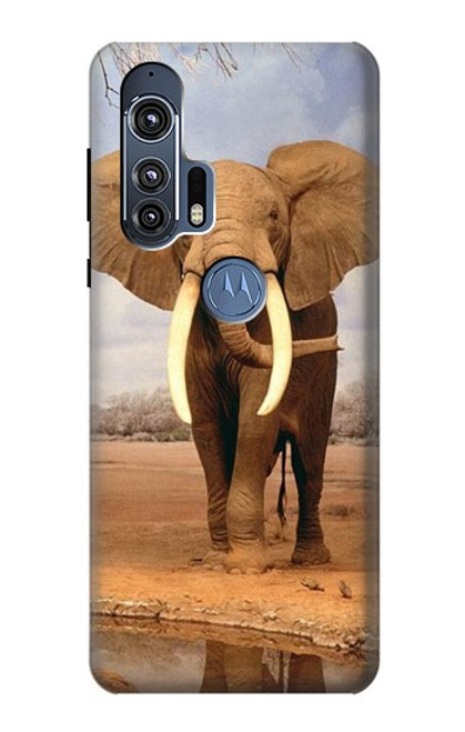 W0310 African Elephant Hard Case and Leather Flip Case For Motorola Edge+