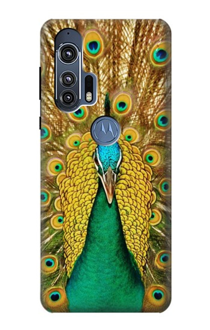 W0513 Peacock Hard Case and Leather Flip Case For Motorola Edge+