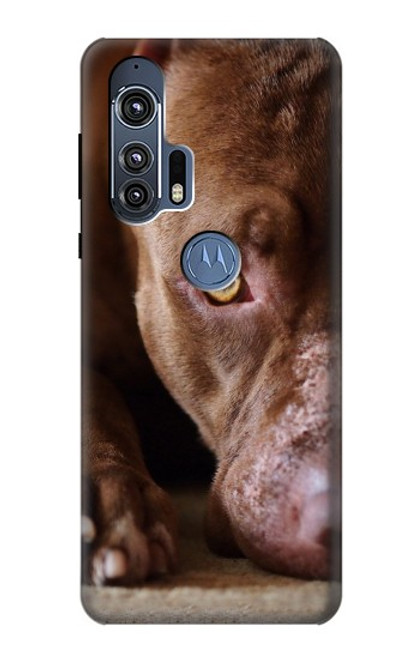 W0519 PitBull Face Hard Case and Leather Flip Case For Motorola Edge+