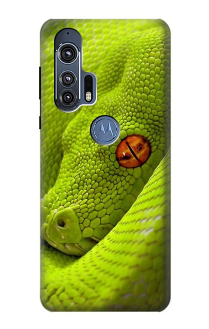 W0785 Green Snake Hard Case and Leather Flip Case For Motorola Edge+