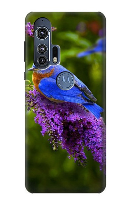W1565 Bluebird of Happiness Blue Bird Hard Case and Leather Flip Case For Motorola Edge+