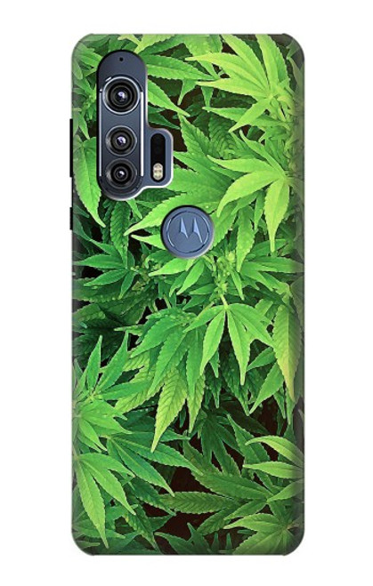 W1656 Marijuana Plant Hard Case and Leather Flip Case For Motorola Edge+