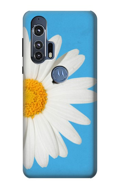 W3043 Vintage Daisy Lady Bug Hard Case and Leather Flip Case For Motorola Edge+