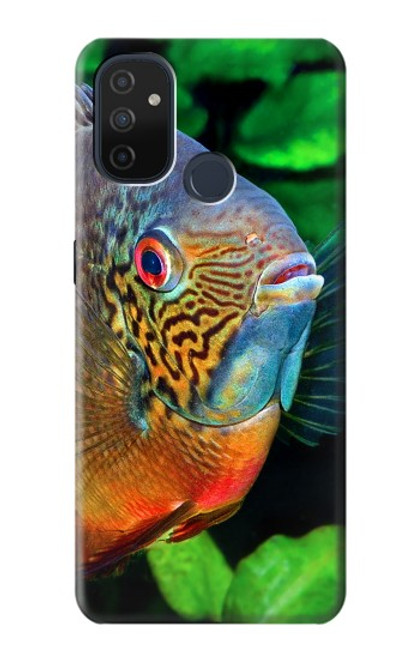 W1812 Cichlid Fish Hard Case and Leather Flip Case For OnePlus Nord N100