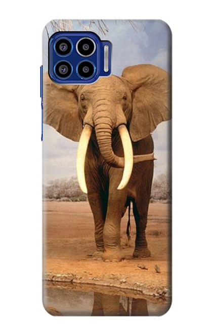 W0310 African Elephant Hard Case and Leather Flip Case For Motorola One 5G