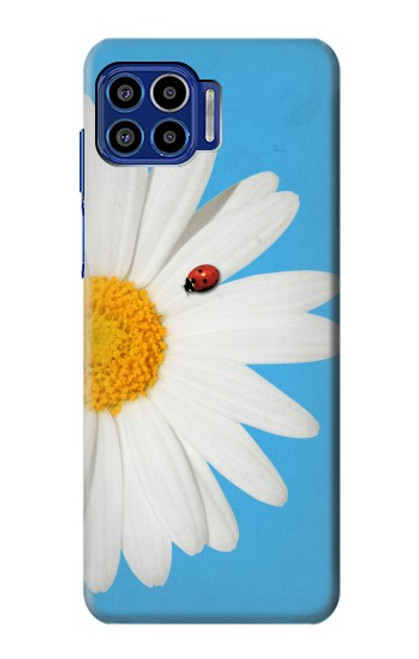 W3043 Vintage Daisy Lady Bug Hard Case and Leather Flip Case For Motorola One 5G