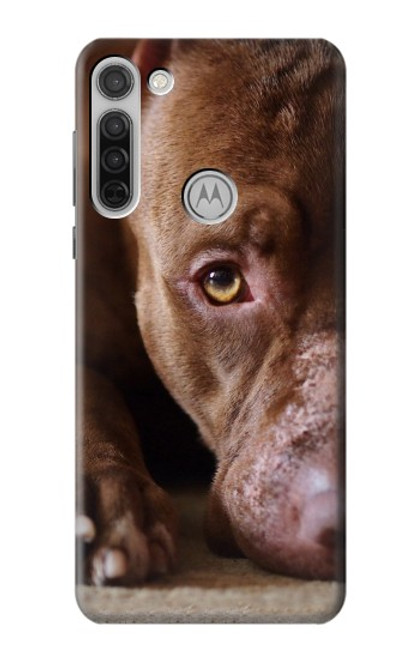 W0519 PitBull Face Hard Case and Leather Flip Case For Motorola Moto G8