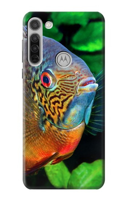 W1812 Cichlid Fish Hard Case and Leather Flip Case For Motorola Moto G8