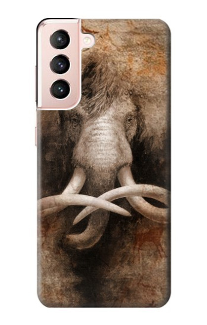 W3427 Mammoth Ancient Cave Art Hard Case and Leather Flip Case For Samsung Galaxy S21 5G