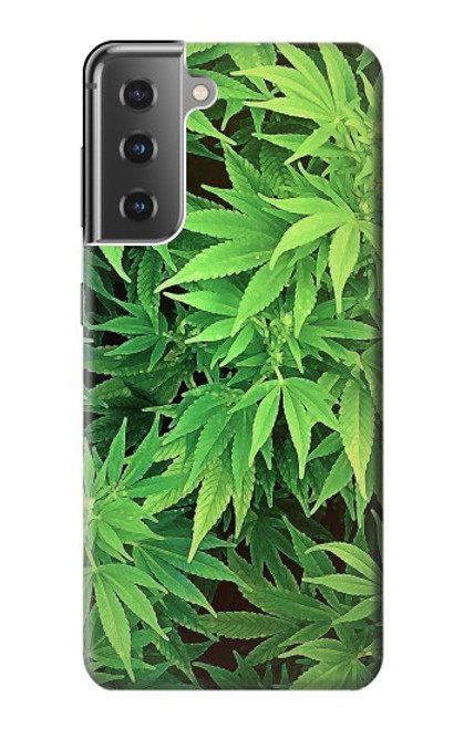 W1656 Marijuana Plant Hard Case and Leather Flip Case For Samsung Galaxy S21 Plus 5G, Galaxy S21+ 5G