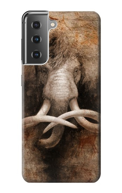 W3427 Mammoth Ancient Cave Art Hard Case and Leather Flip Case For Samsung Galaxy S21 Plus 5G, Galaxy S21+ 5G