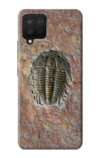 W1454 Trilobite Fossil Hard Case and Leather Flip Case For Samsung Galaxy A12