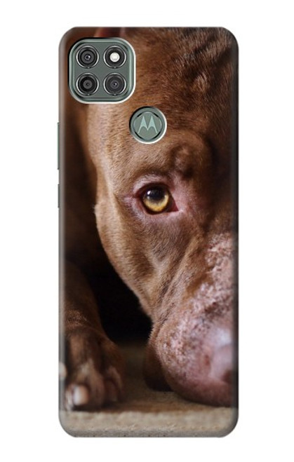 W0519 PitBull Face Hard Case and Leather Flip Case For Motorola Moto G9 Power