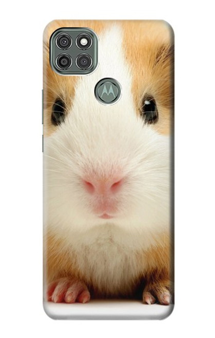 W1619 Cute Guinea Pig Hard Case and Leather Flip Case For Motorola Moto G9 Power