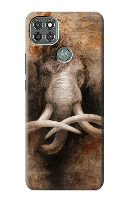 W3427 Mammoth Ancient Cave Art Hard Case and Leather Flip Case For Motorola Moto G9 Power