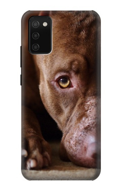 W0519 PitBull Face Hard Case and Leather Flip Case For Samsung Galaxy A02s, Galaxy M02s