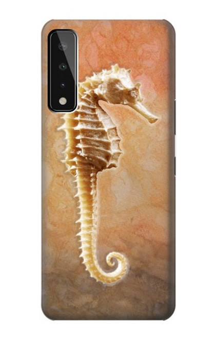 W2674 Seahorse Skeleton Fossil Hard Case and Leather Flip Case For LG Stylo 7 4G