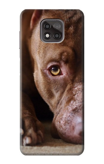 W0519 PitBull Face Hard Case and Leather Flip Case For Motorola Moto G Power (2021)