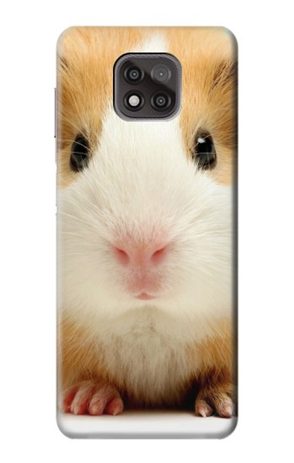 W1619 Cute Guinea Pig Hard Case and Leather Flip Case For Motorola Moto G Power (2021)