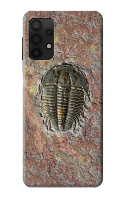 W1454 Trilobite Fossil Hard Case and Leather Flip Case For Samsung Galaxy A32 4G