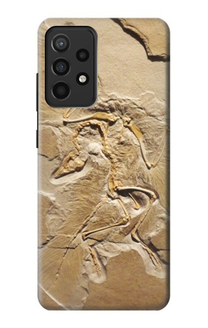 W0380 Dinosaur Fossil Hard Case and Leather Flip Case For Samsung Galaxy A52, Galaxy A52 5G