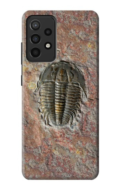 W1454 Trilobite Fossil Hard Case and Leather Flip Case For Samsung Galaxy A52, Galaxy A52 5G