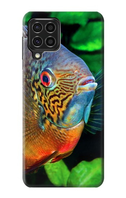 W1812 Cichlid Fish Hard Case and Leather Flip Case For Samsung Galaxy F62