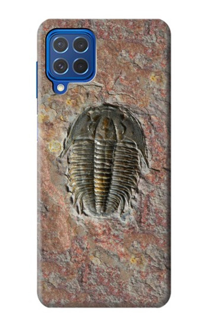 W1454 Trilobite Fossil Hard Case and Leather Flip Case For Samsung Galaxy M62