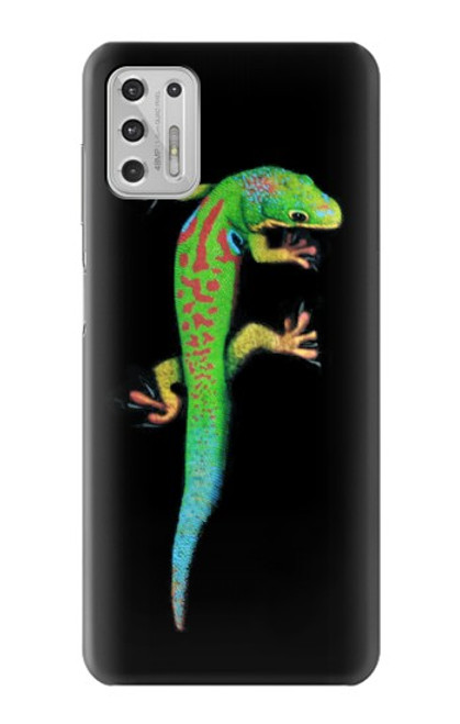 W0125 Green Madagascan Gecko Hard Case and Leather Flip Case For Motorola Moto G Stylus (2021)