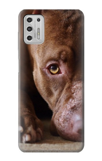 W0519 PitBull Face Hard Case and Leather Flip Case For Motorola Moto G Stylus (2021)