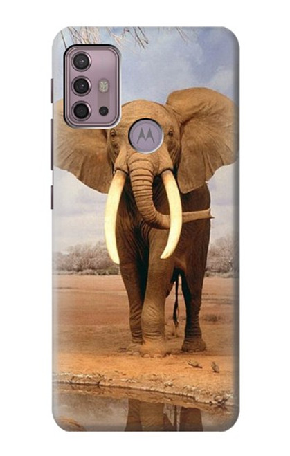 W0310 African Elephant Hard Case and Leather Flip Case For Motorola Moto G30, G20, G10