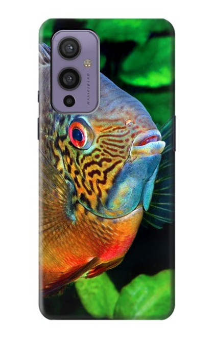 W1812 Cichlid Fish Hard Case and Leather Flip Case For OnePlus 9