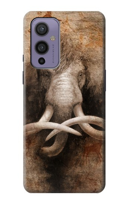 W3427 Mammoth Ancient Cave Art Hard Case and Leather Flip Case For OnePlus 9