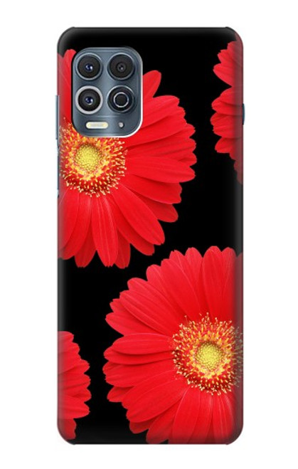 W2478 Red Daisy flower Hard Case and Leather Flip Case For Motorola Edge S