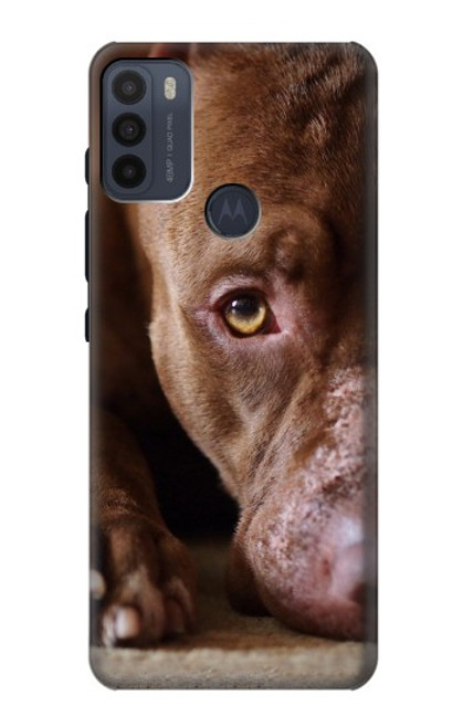 W0519 PitBull Face Hard Case and Leather Flip Case For Motorola Moto G50