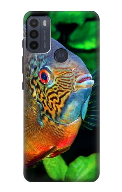 W1812 Cichlid Fish Hard Case and Leather Flip Case For Motorola Moto G50