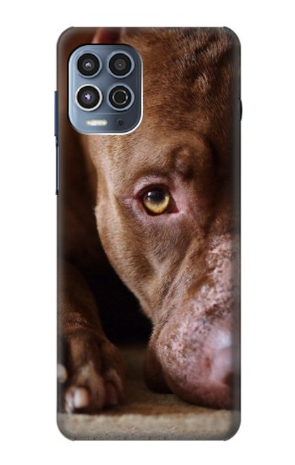 W0519 PitBull Face Hard Case and Leather Flip Case For Motorola Moto G100