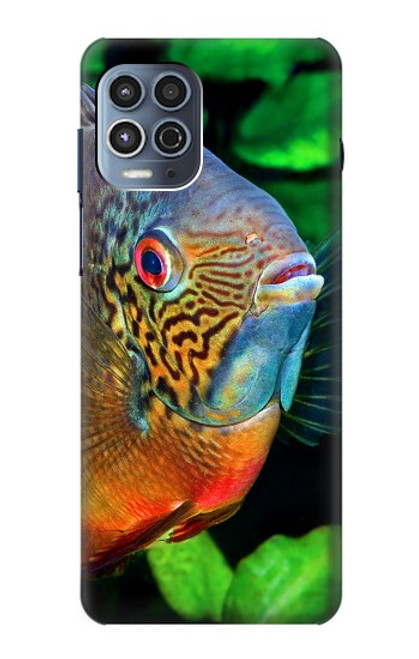 W1812 Cichlid Fish Hard Case and Leather Flip Case For Motorola Moto G100